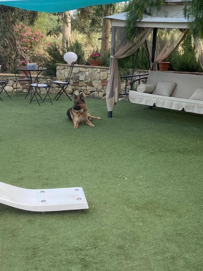 דירות Ioppolo Giancaxio La Casa Di Gioggio מראה חיצוני תמונה